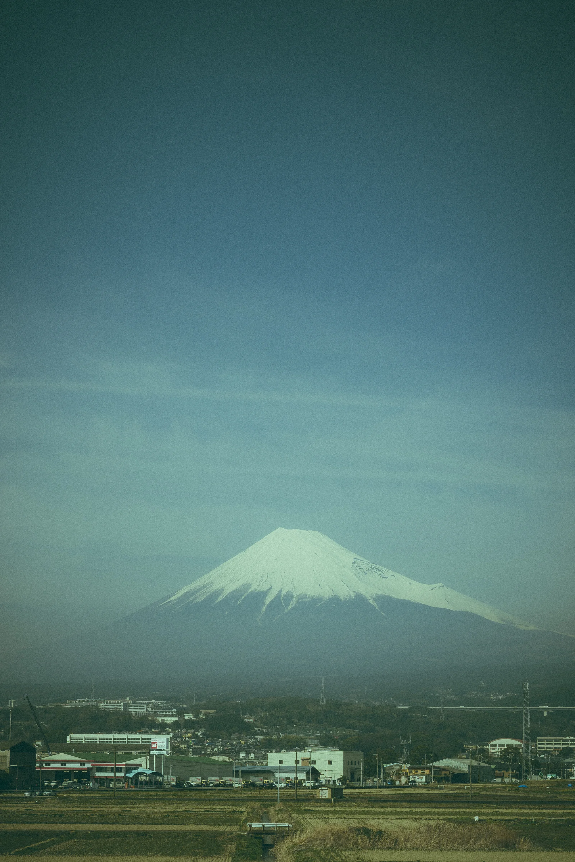 DSC04502.jpg