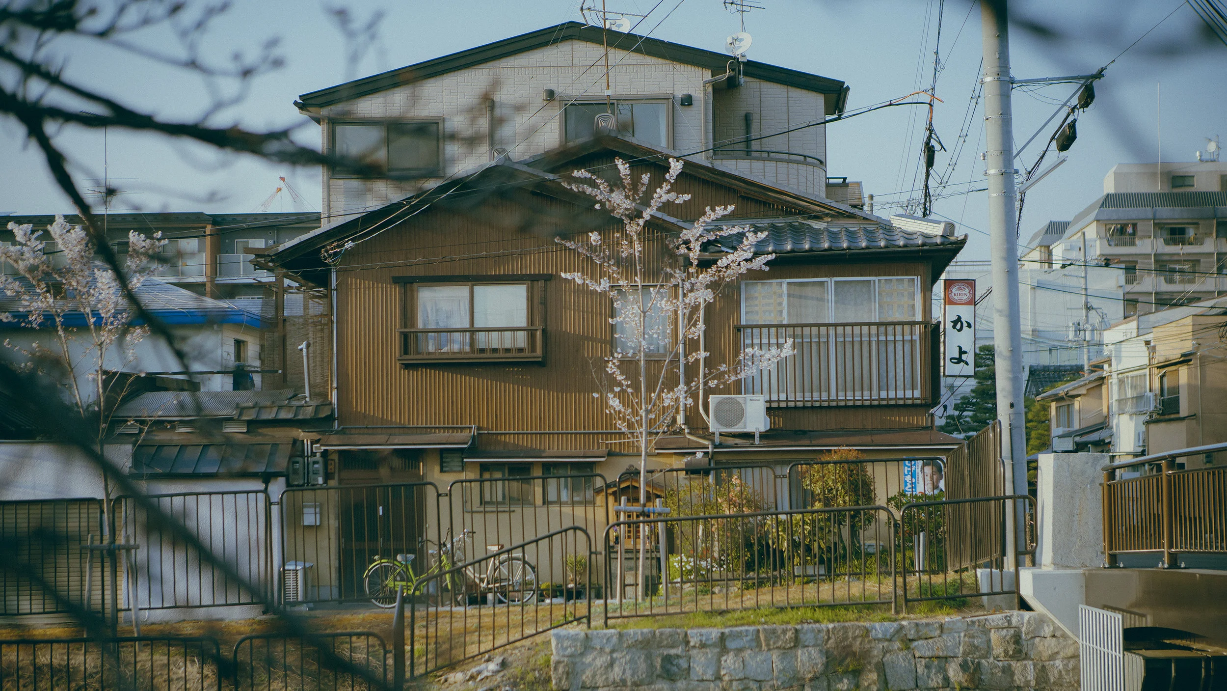 DSC04630.jpg
