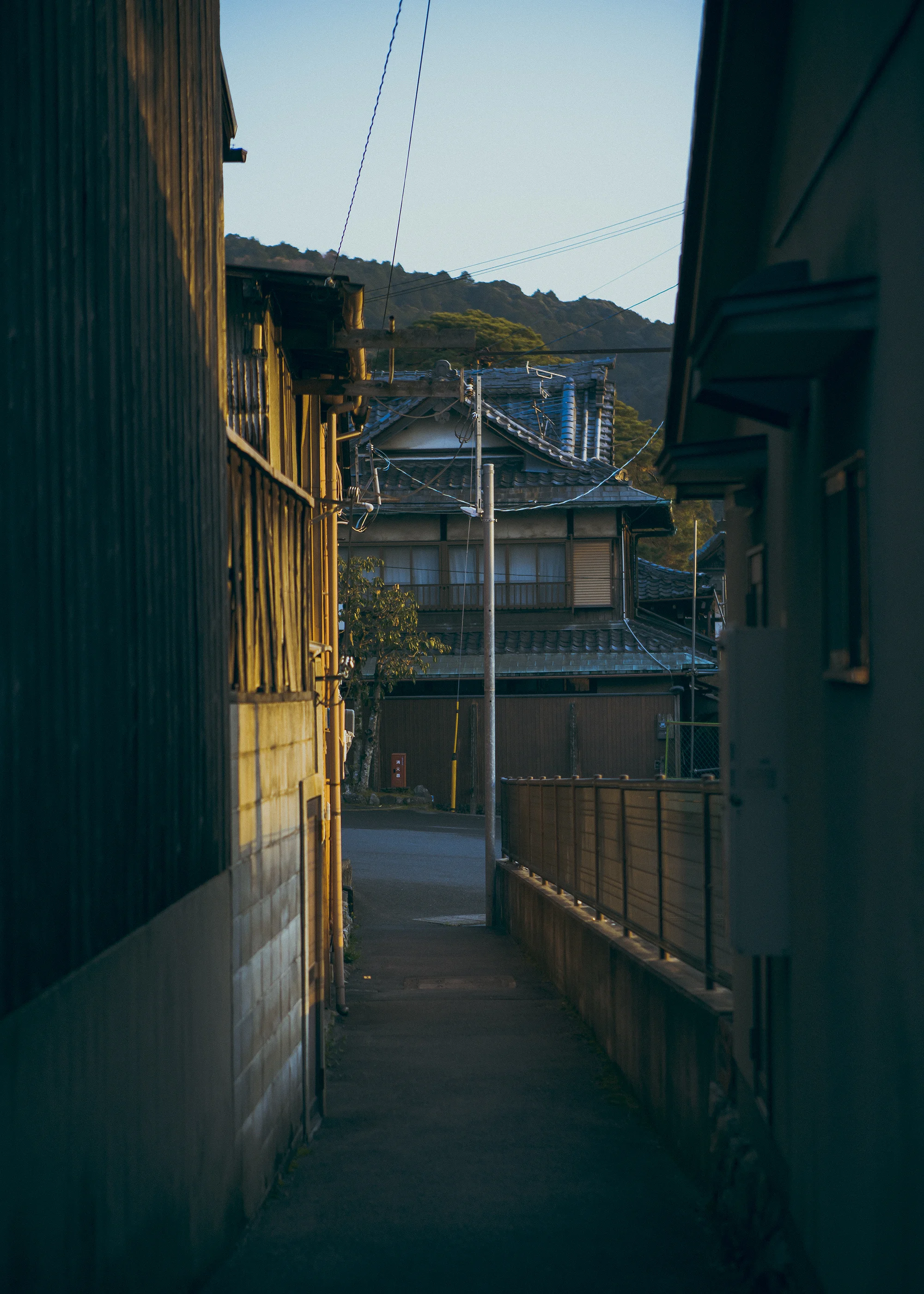 DSC04650.jpg