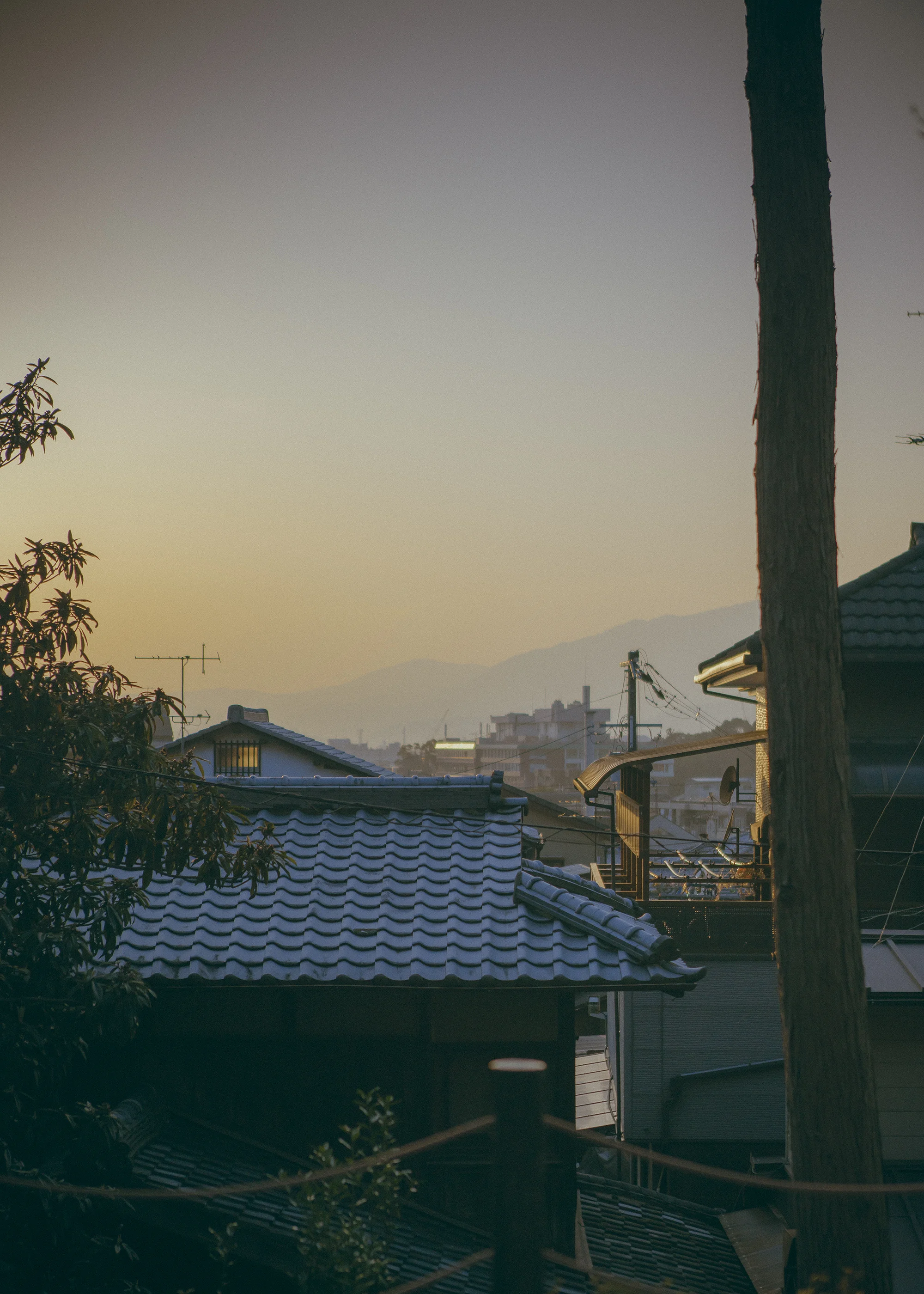 DSC04657.jpg