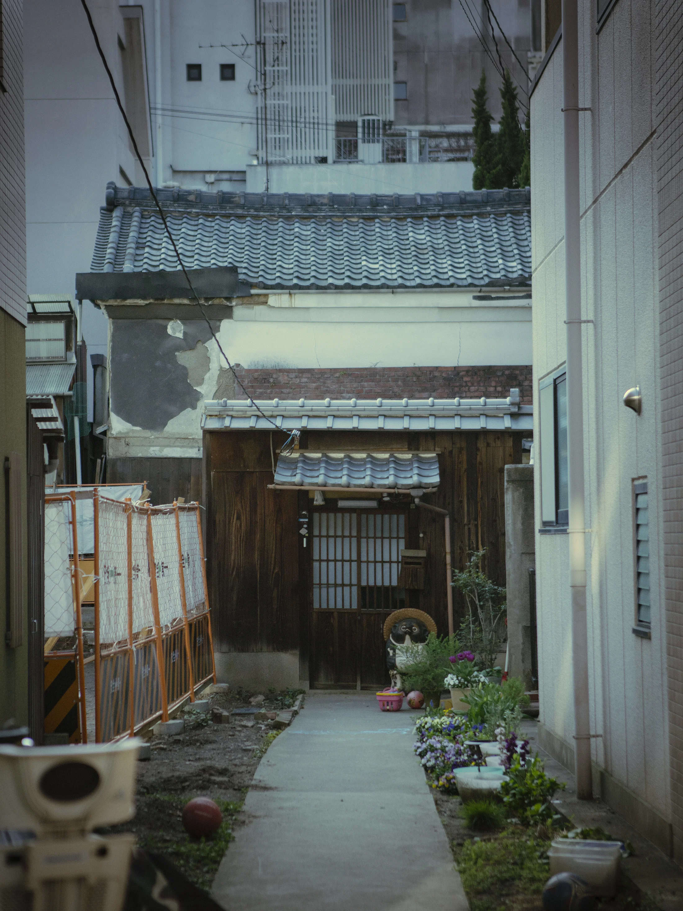 DSC05268.jpg