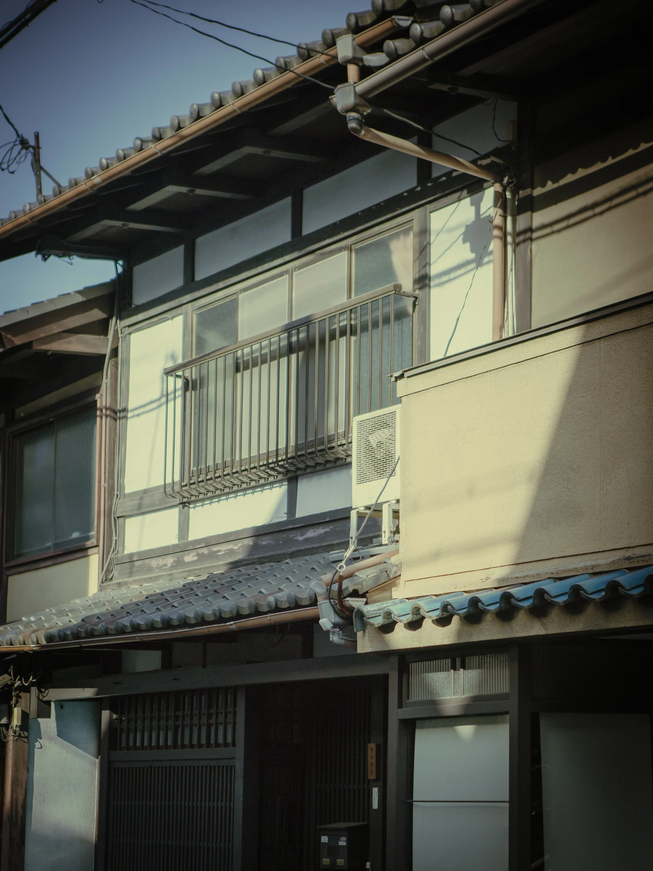 DSC05271.jpg