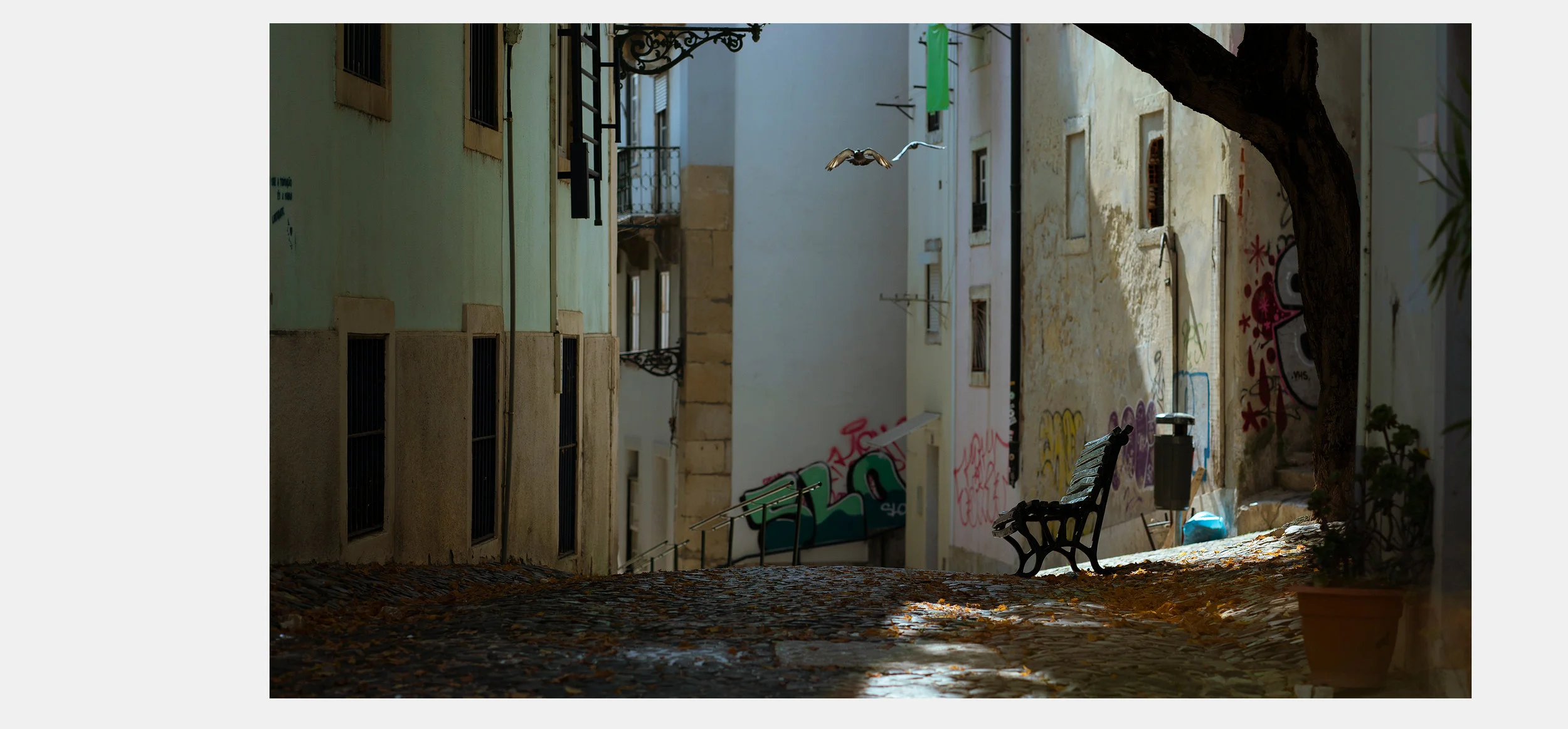 Collage 06.jpg