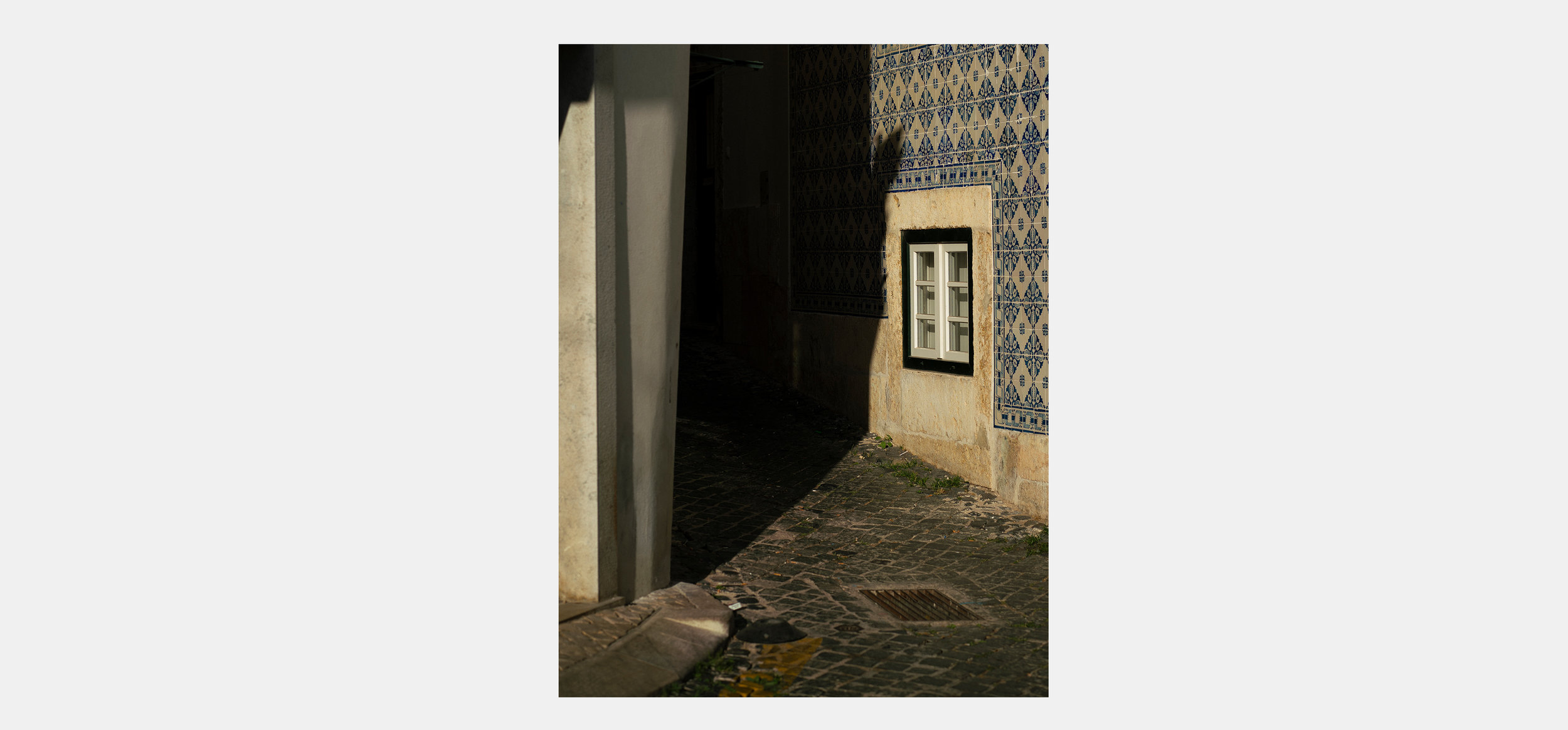 Collage 10.jpg
