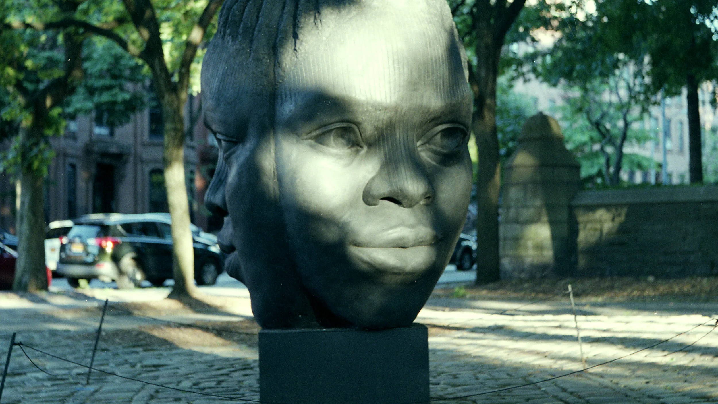 img0011.jpg
