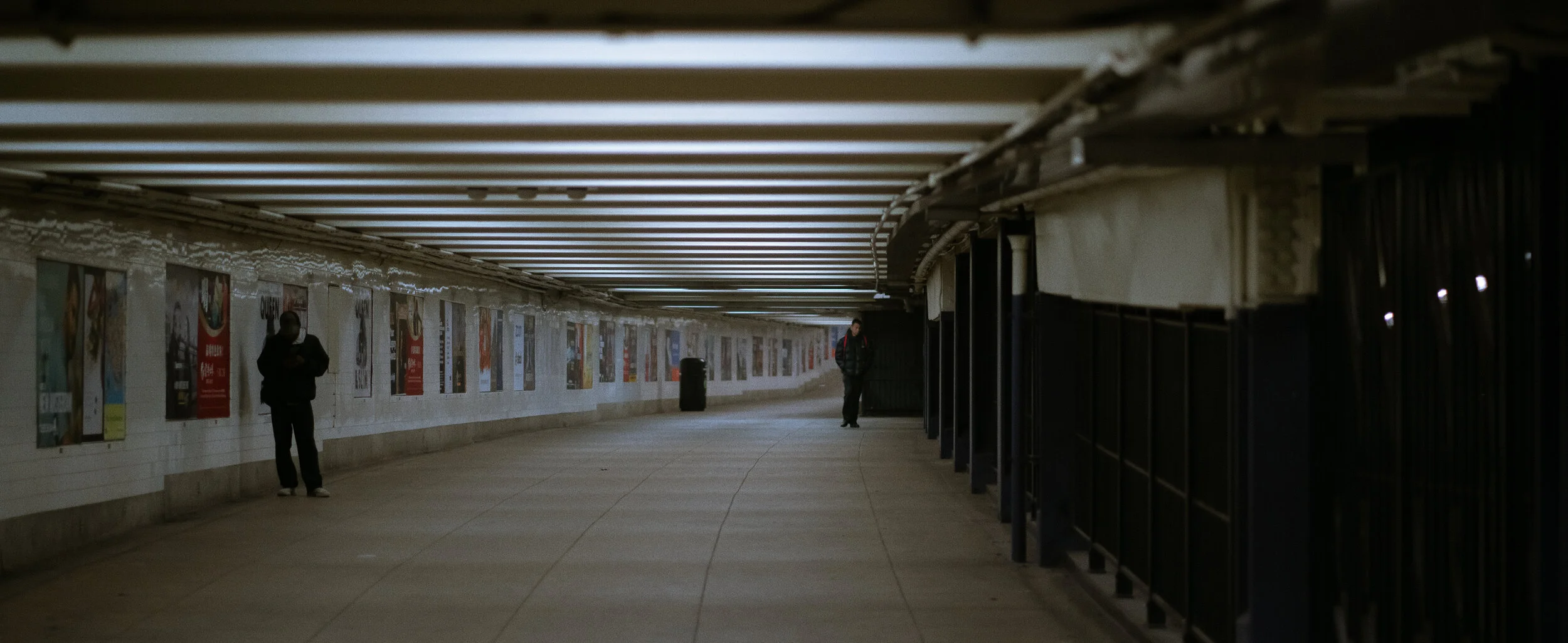 NYC Wide_00016.jpg