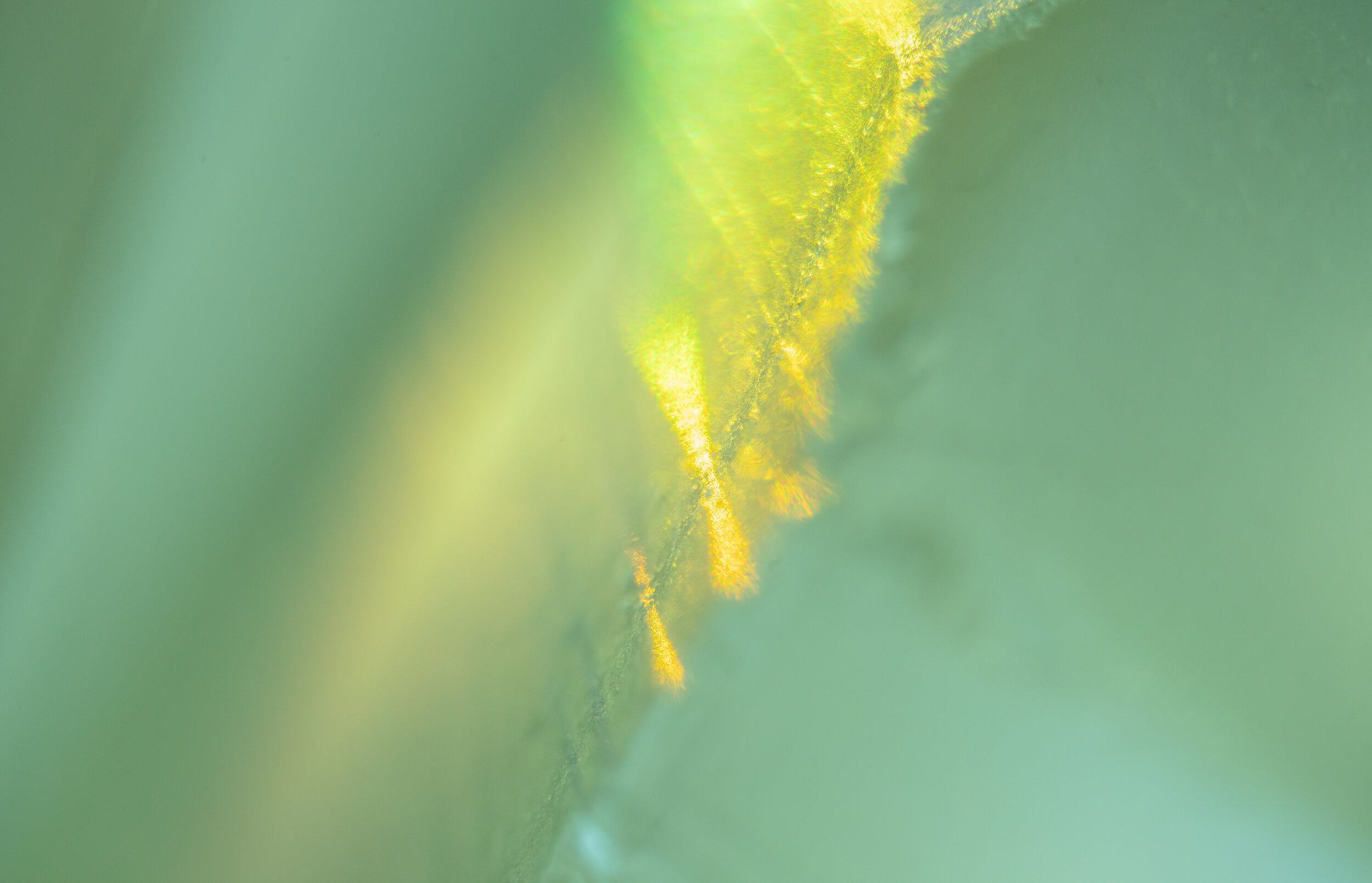 DSC00088_00001.jpg