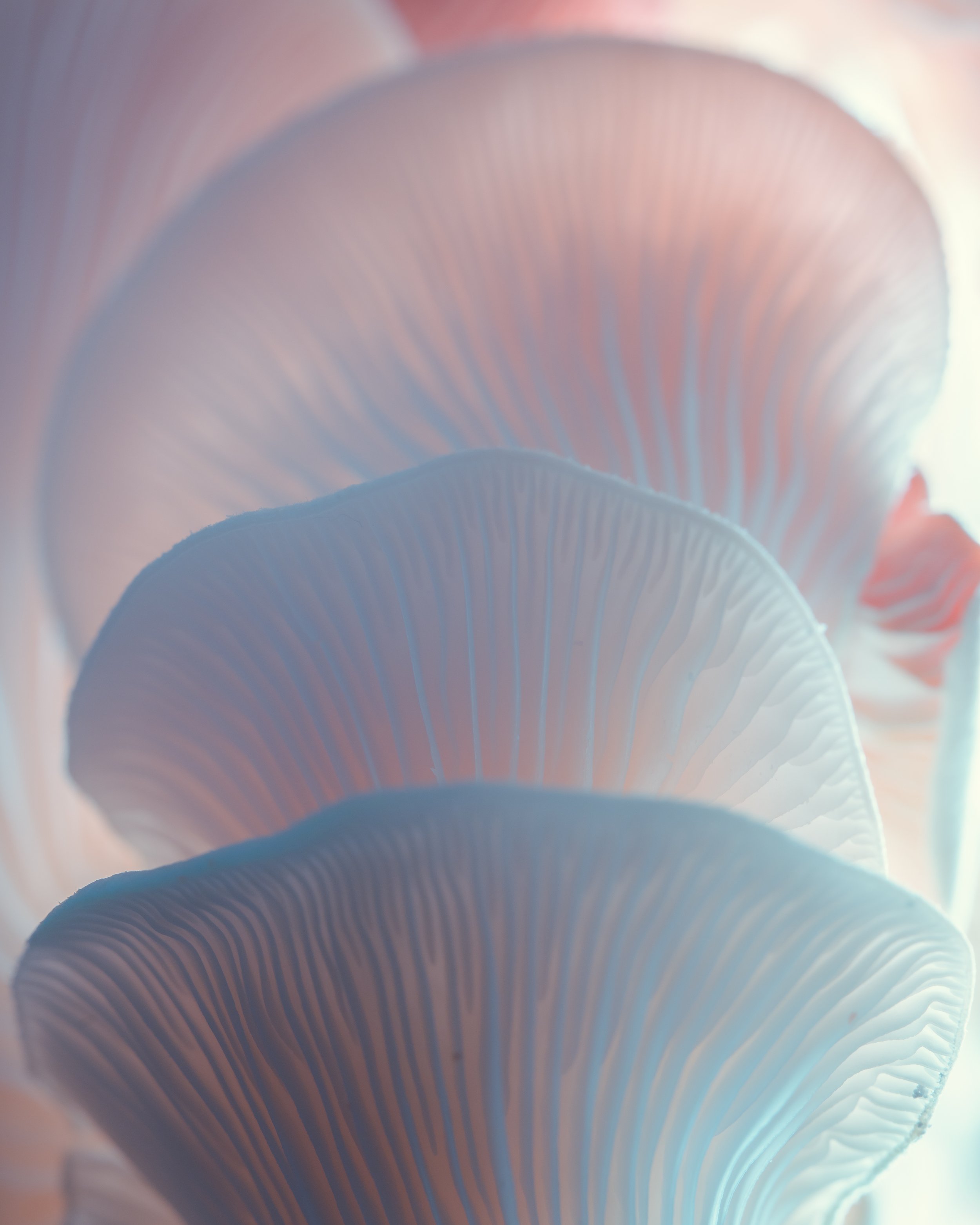 DSC03164.jpg