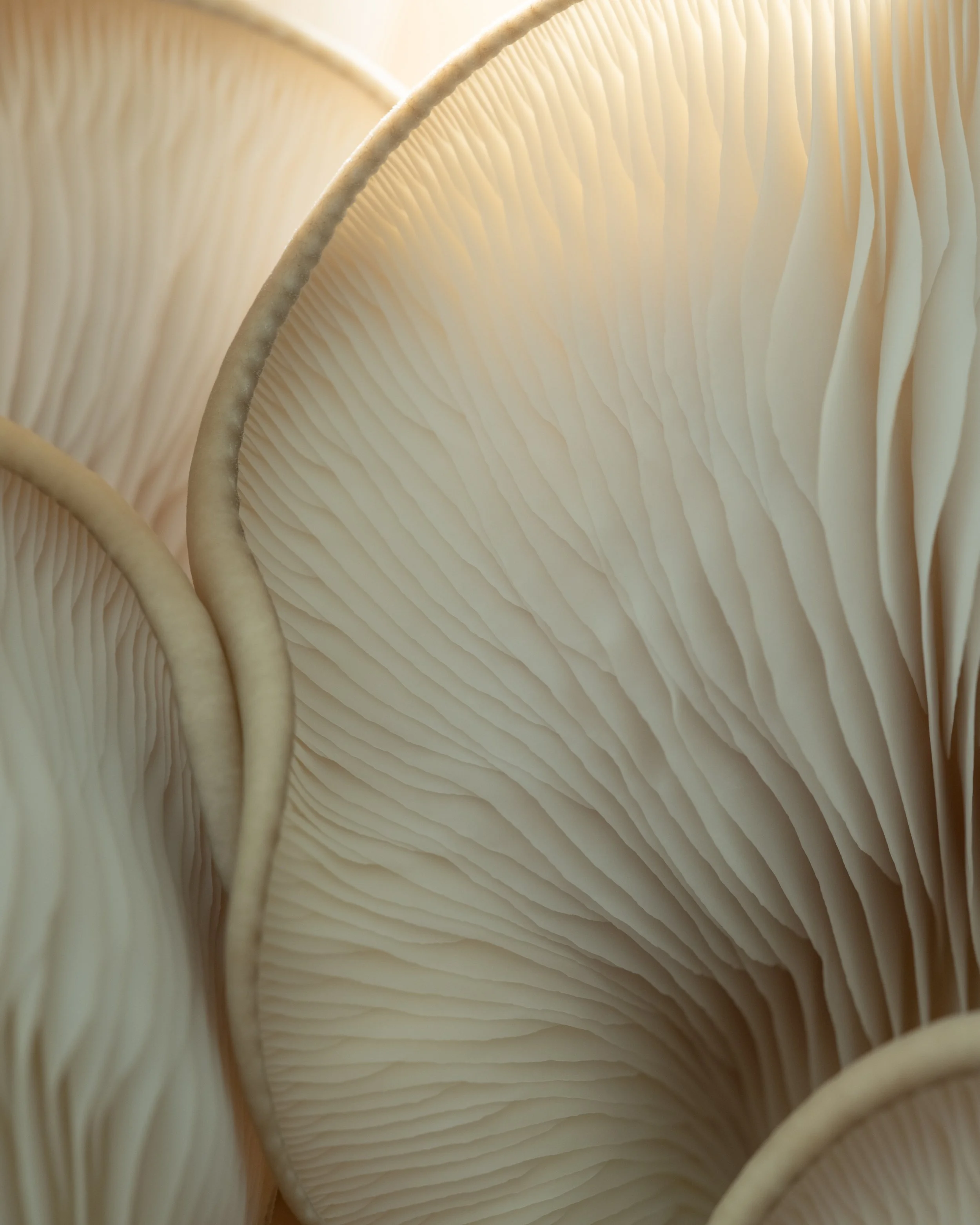 DSCF2306-2.jpg