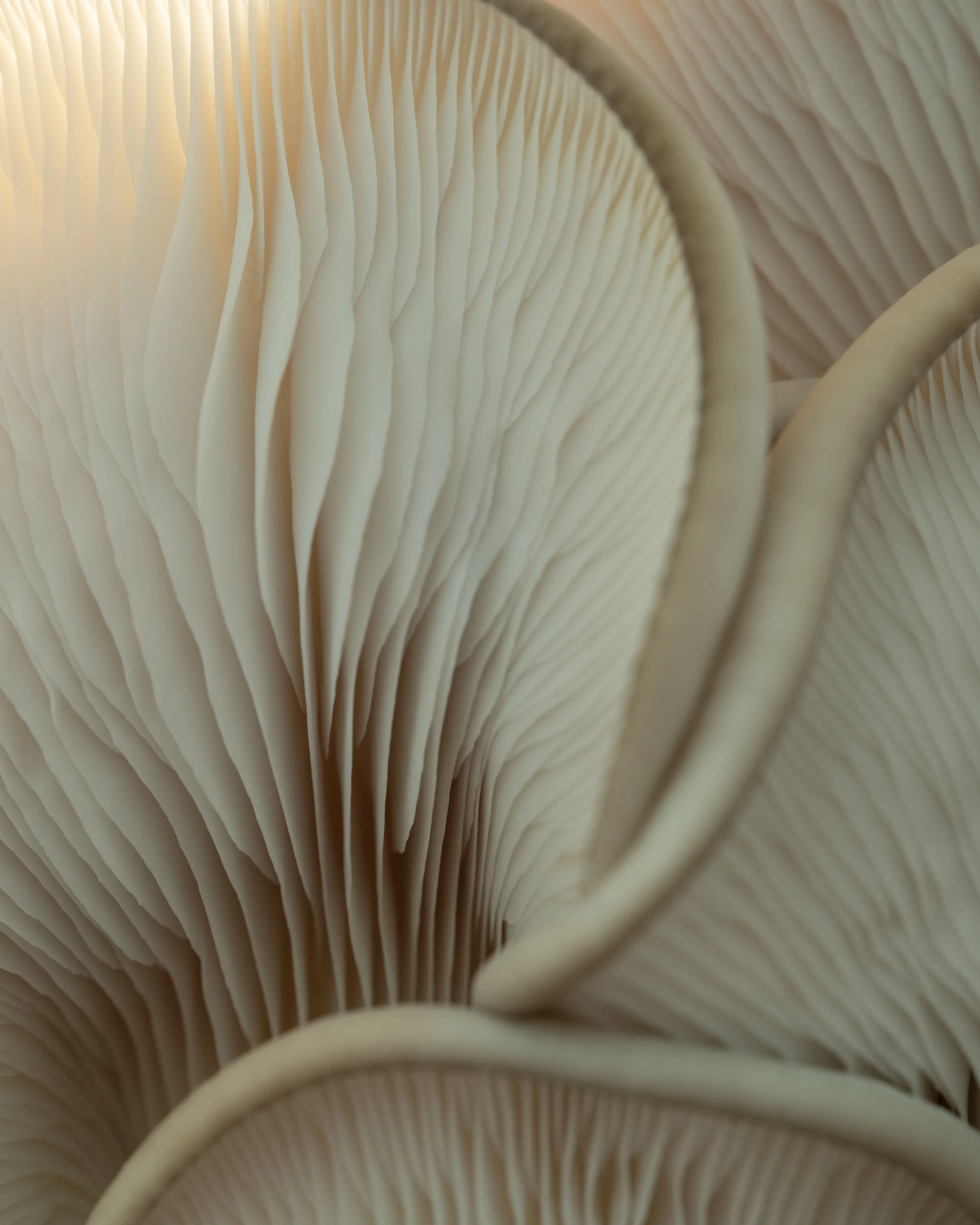 DSCF2306.jpg