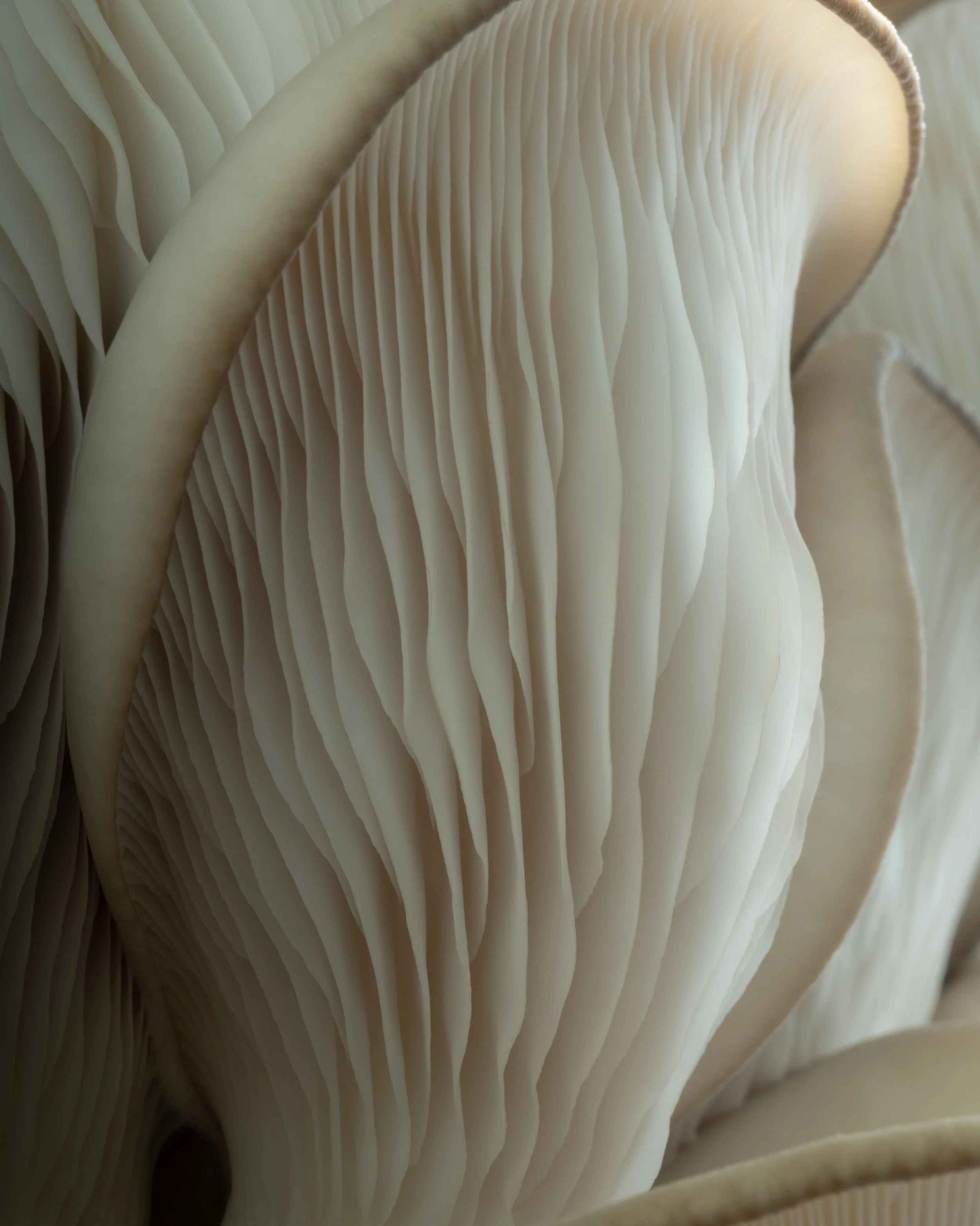 DSCF2307.jpg