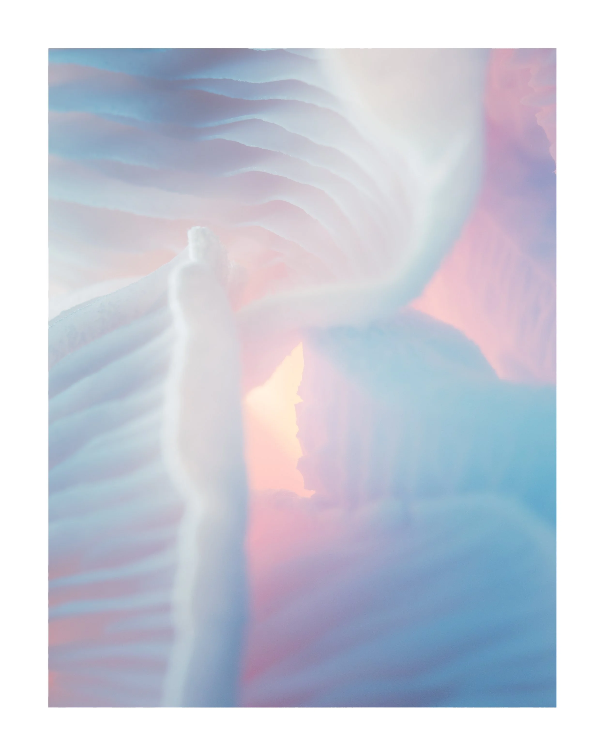 MUSHROOM_03_00009.jpg