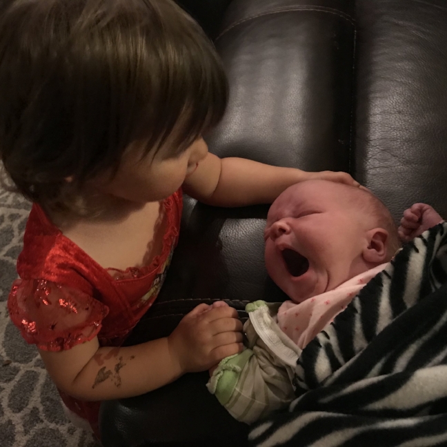 image1-1.jpeg