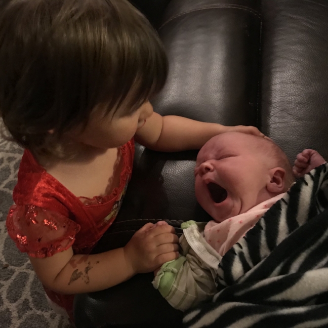 Hope (Tampa, Florida)