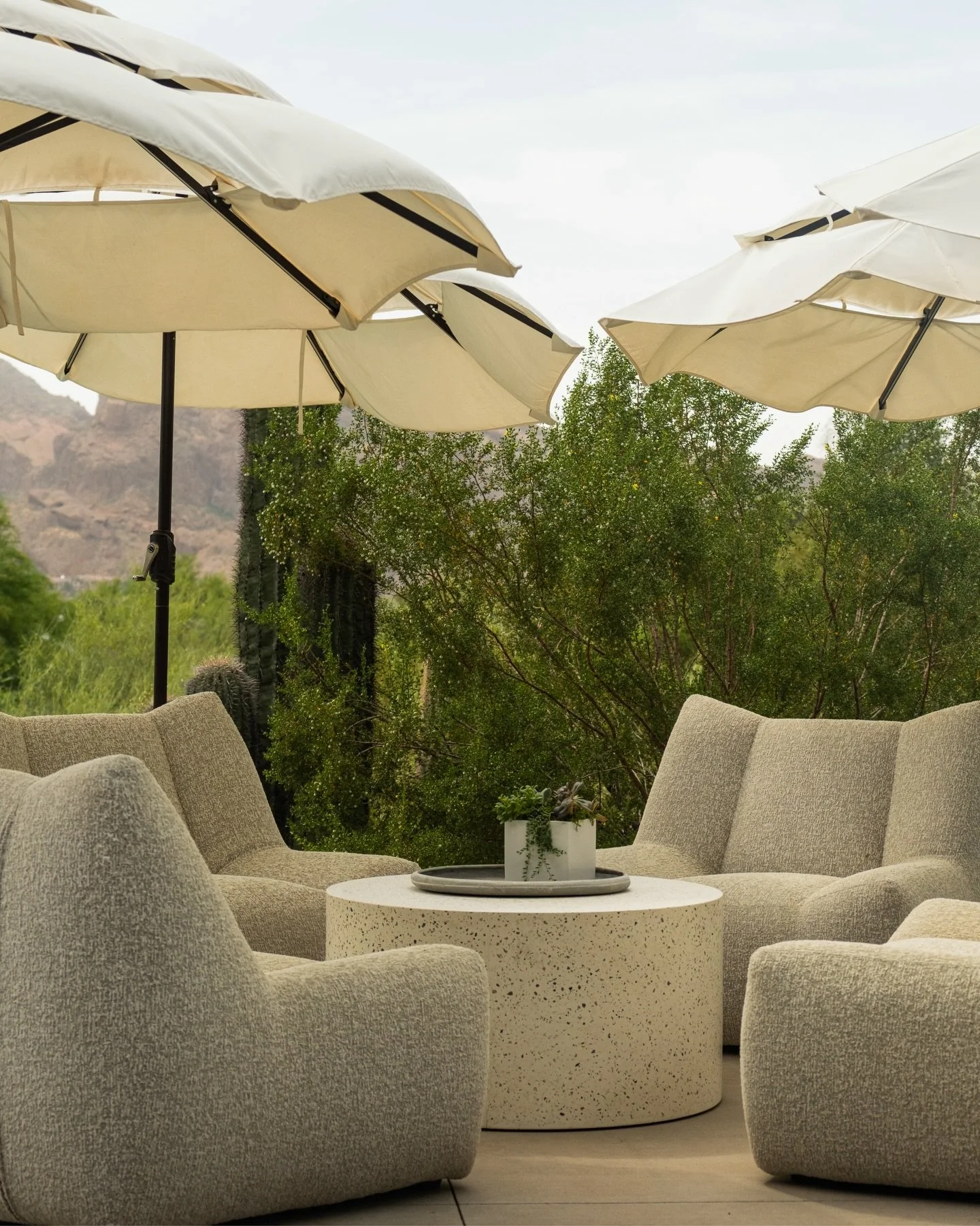 Desert Design Week | Green Room: Landscape As Architecture - home and garden tour 

@desertdesignweek 
@bungalowaz 
@thegreenroom.la 

#interiordesign #landscapedesign #design #architecturephotography