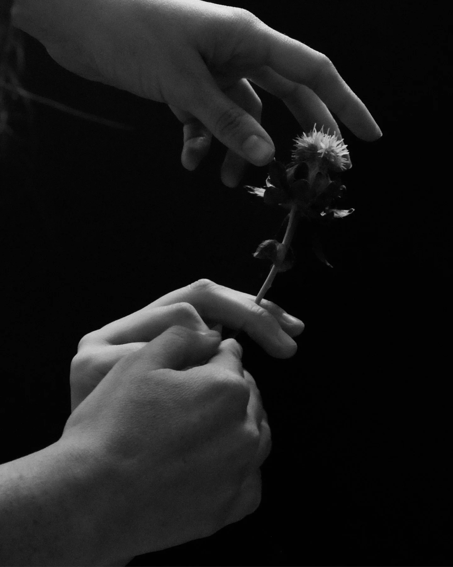 This year has been reminding me just how important connections are. Every room we enter could be an opportunity for a new adventure. Feeling extremely fortunate lately.