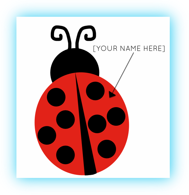 Bug Level Mock Up.png