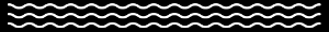 squiggle_graphic.gif