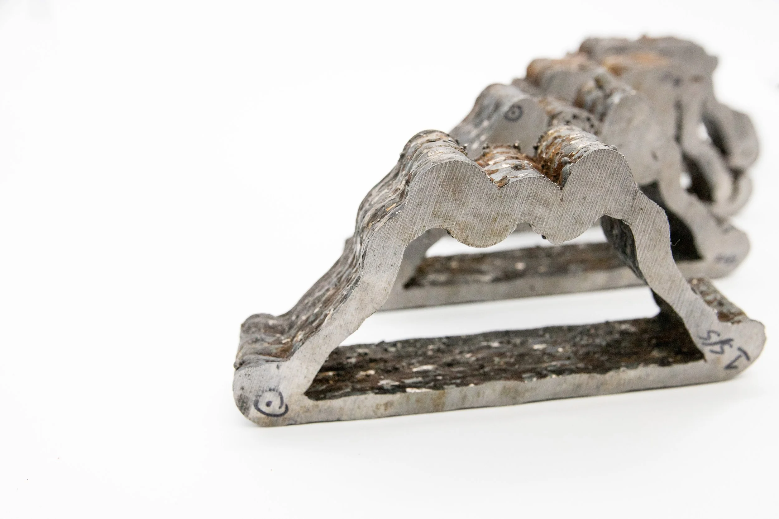 AllSpecimens_row.jpg