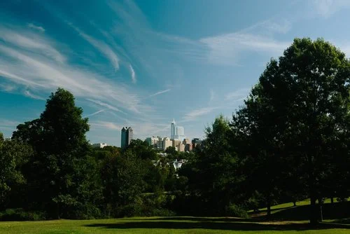 Dorothea Dix Park