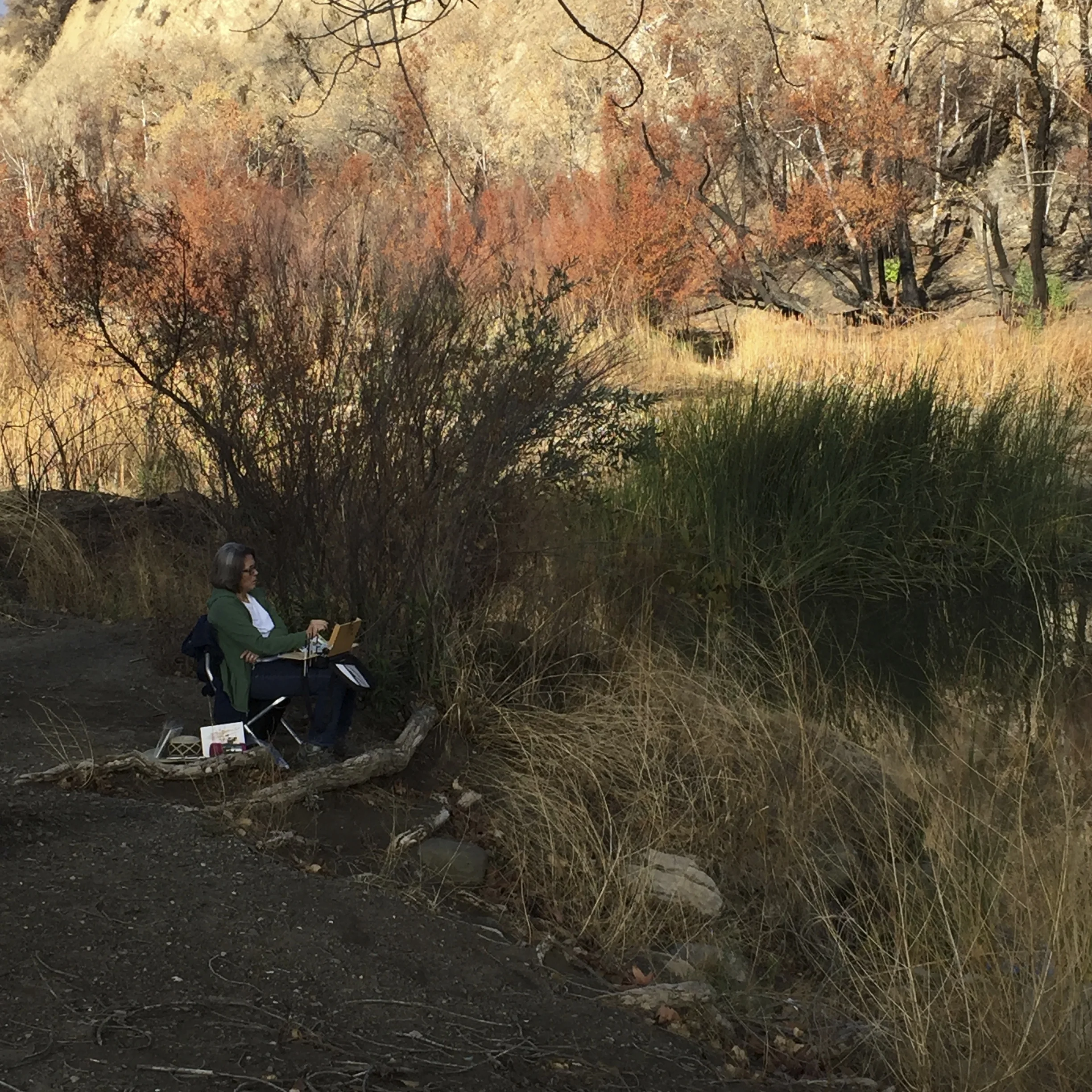 Pamela among the reeds