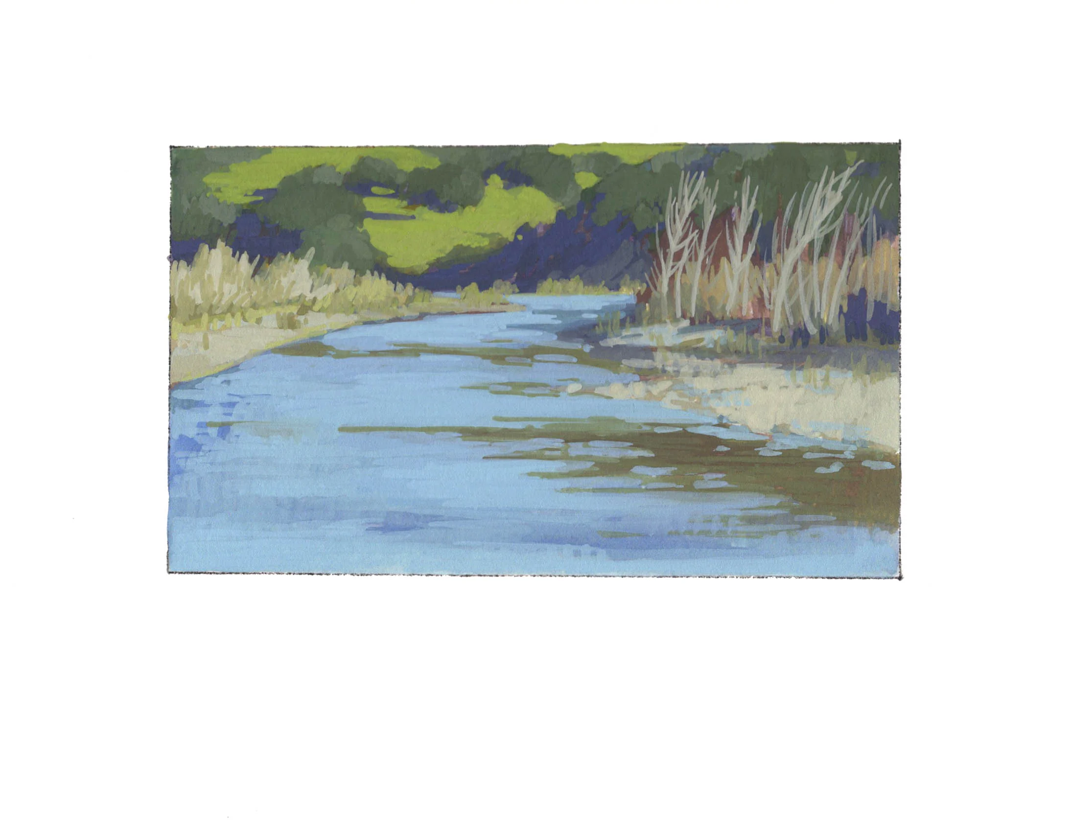 Downstream Santa Ynez River during release 2016