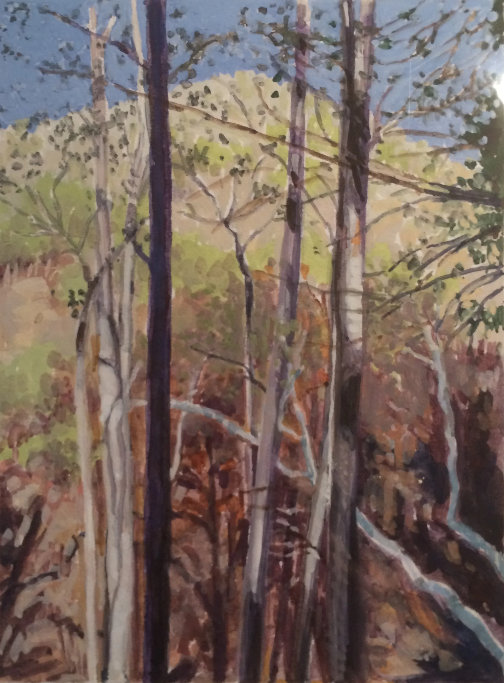 Alder Creek, gouache, Nina Warner
