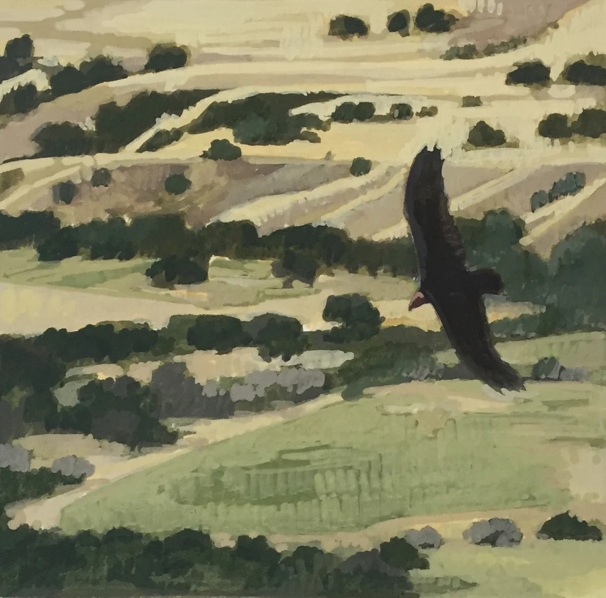 Soaring Above 4 x 4 " ©Nicole Strasburg