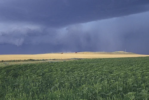 South Dakota