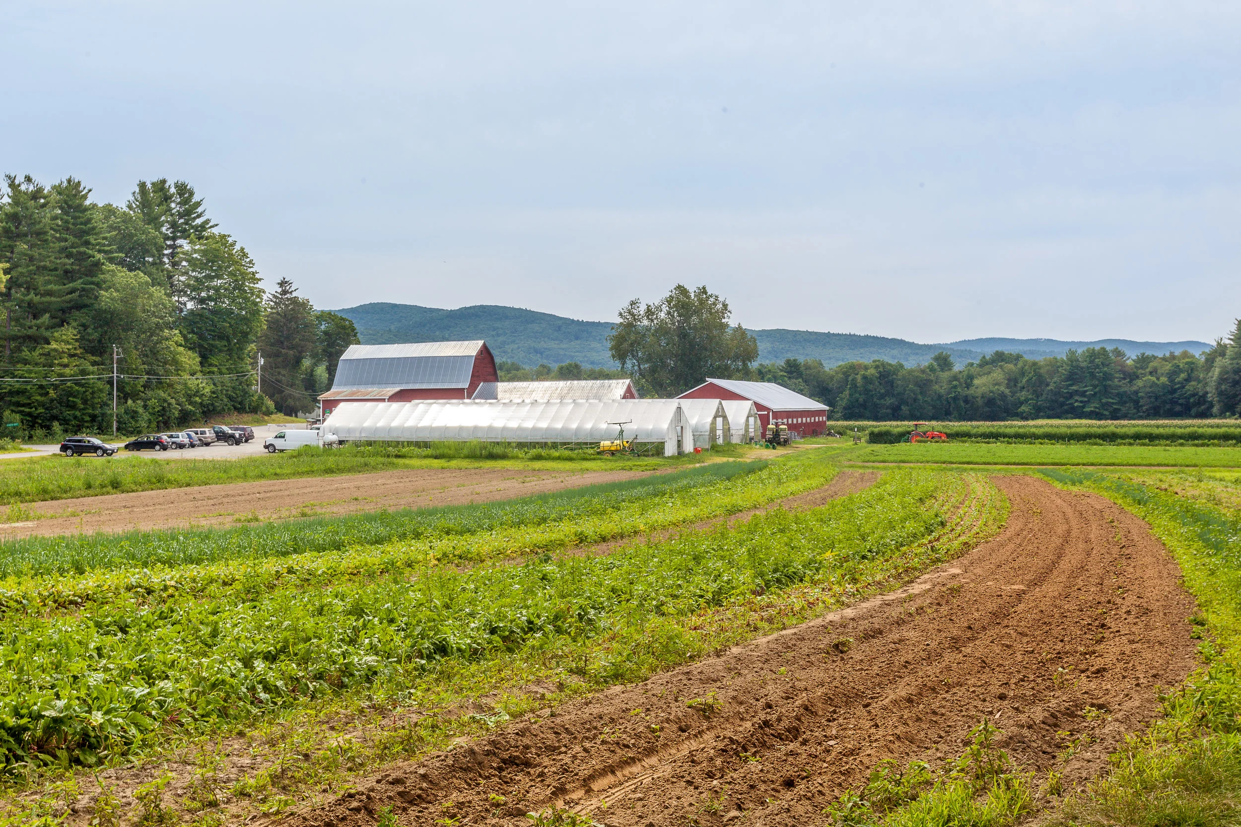 PicadillyFarm-IMG_0076.jpg