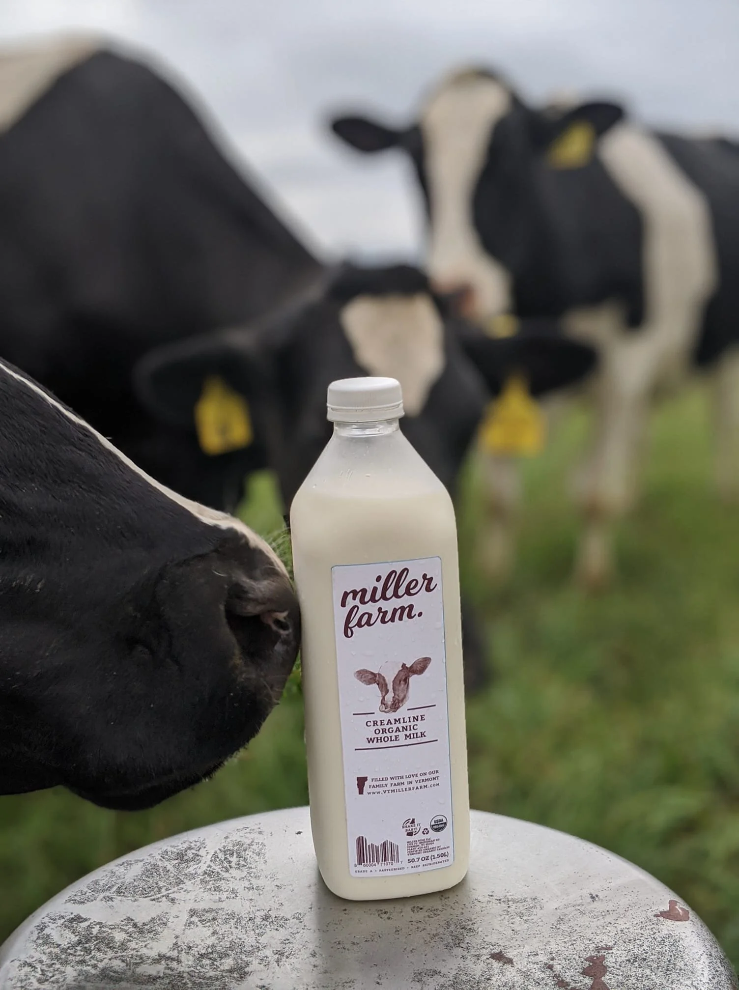 Producer Spotlight: Miller Farm — Food Connects