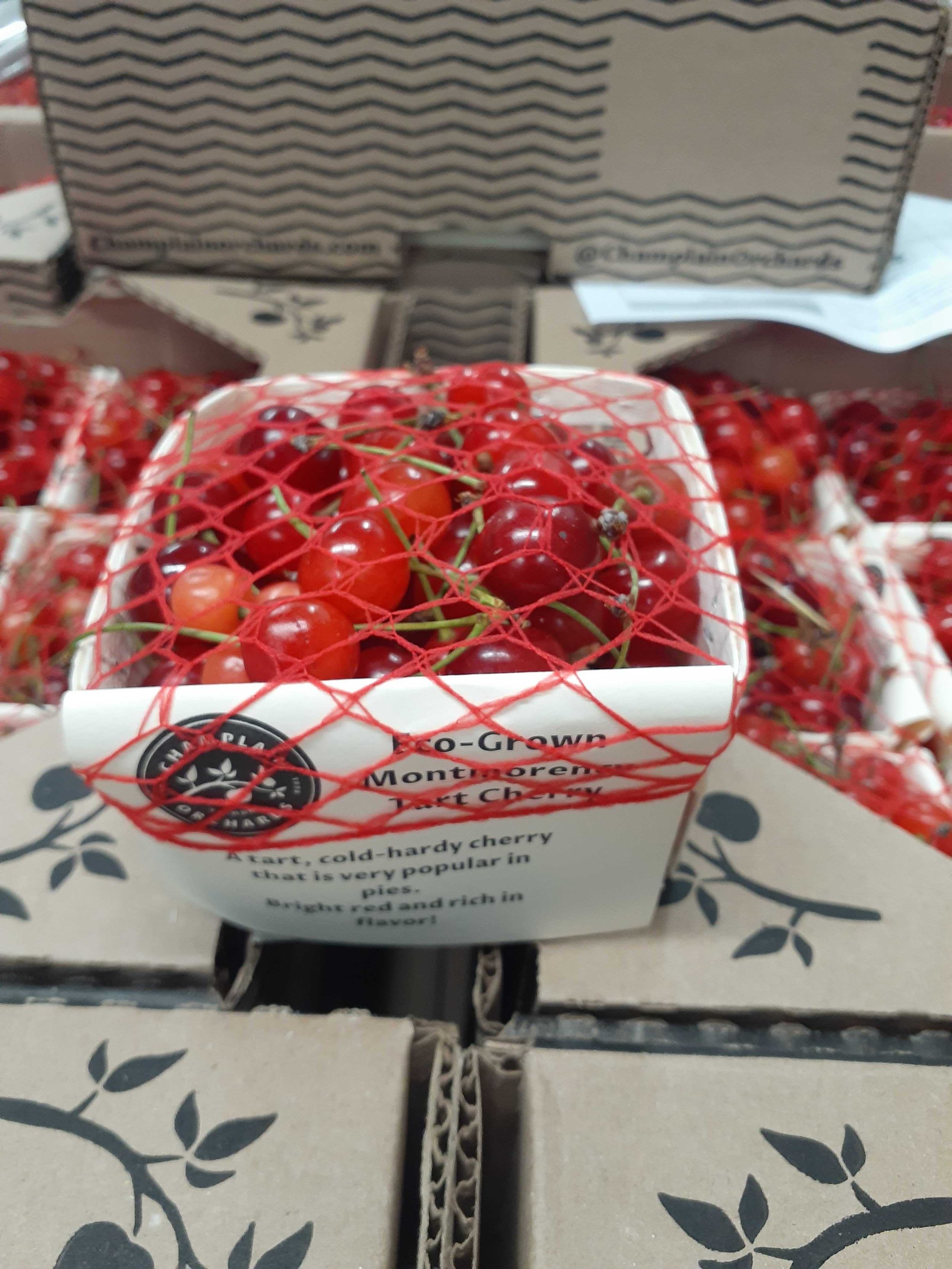 Champlain Orchard Cherries.jpg