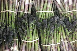 peachblow asparagus 250x166.jpg
