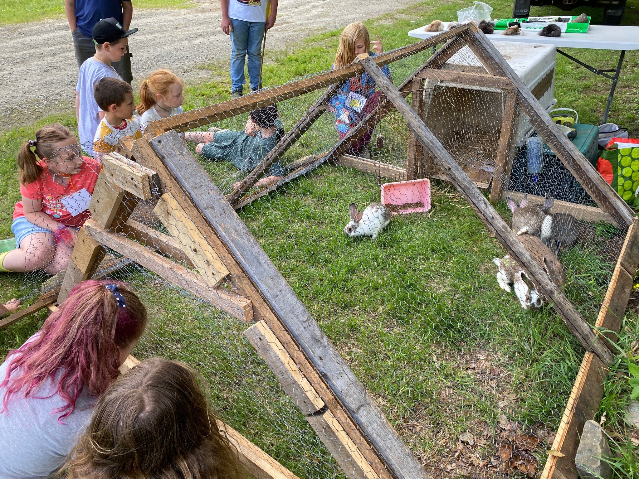 2022.6.Farm and Field Day Returns to Newbrook Elementary!(6).jpg