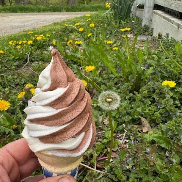 Y&rsquo;ALL! @vtmillerfarm now has CERTIFIED ORGANIC CREEMIES! (that&rsquo;s soft serve ice cream mix for you non-Vermonters). Available in chocolate and vanilla - Miller Farm&rsquo;s certified organic soft serve mix is 1 out of 2 offered in the enti