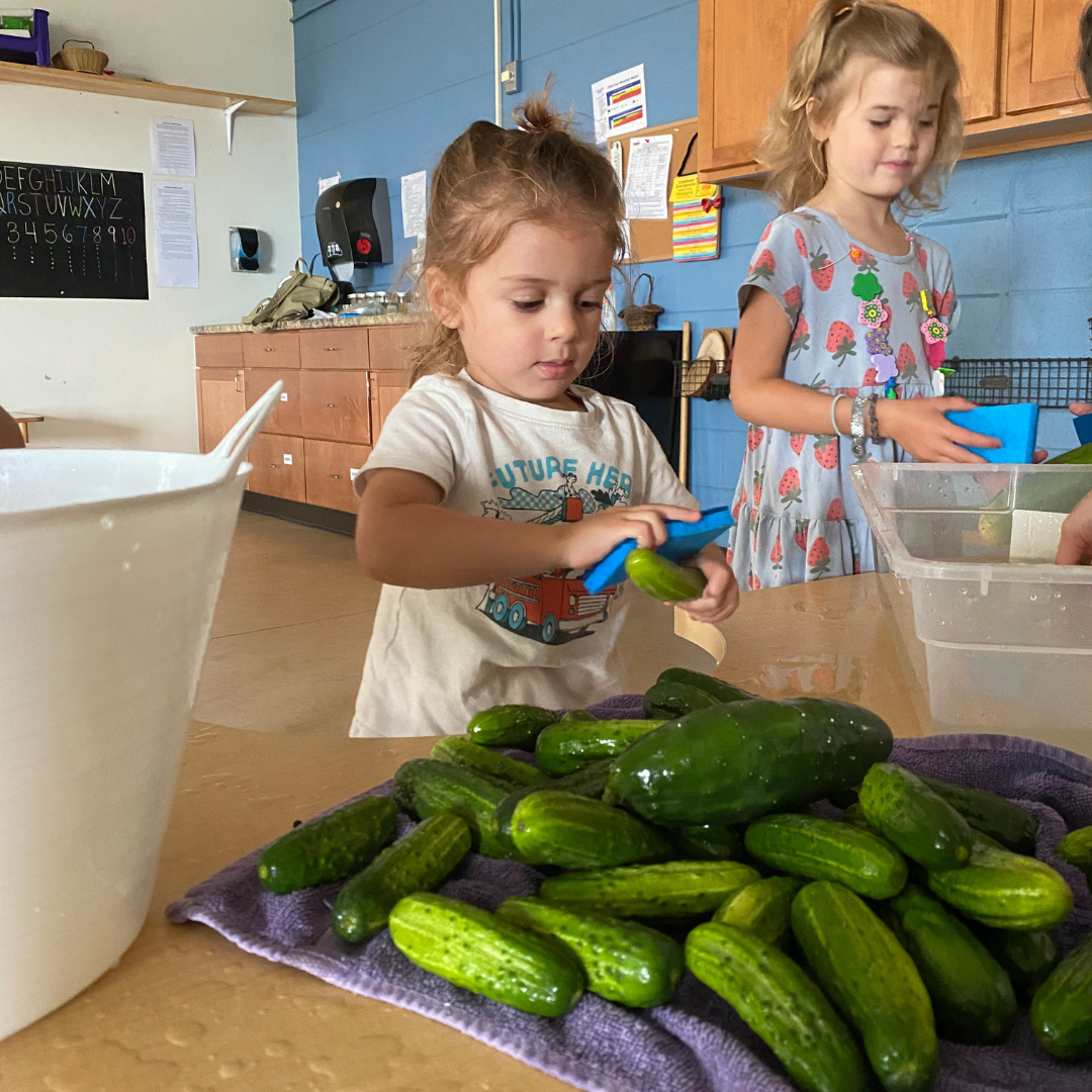 Pickling at Winston Prouty