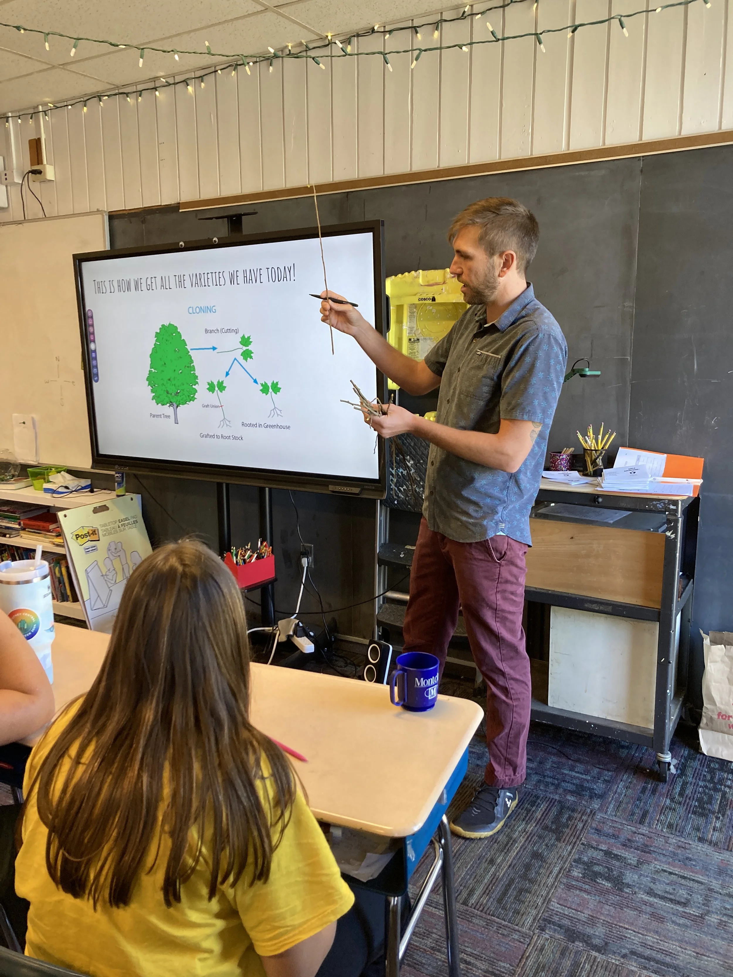 Putney Central School Harvest Lesson