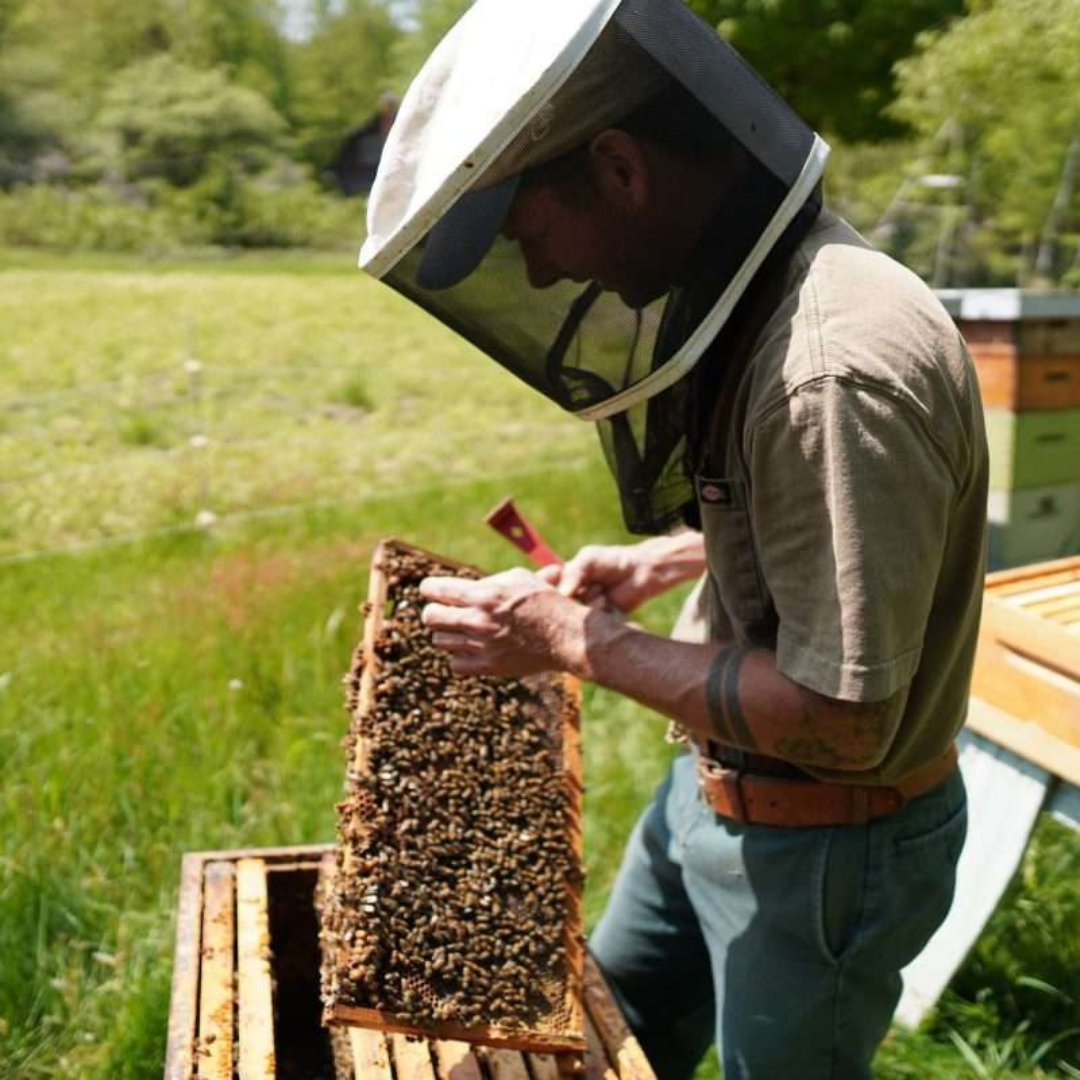 Honey with Integrity - Hall Apiaries — Food Connects