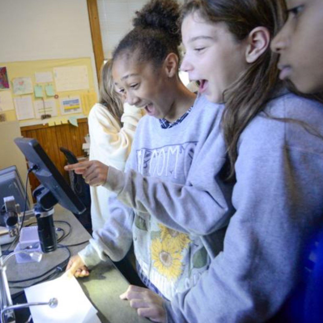 @oakgrovevt Elementary students got an up-close look at worms from @buhscolonels as part of the Very Big Tiny Science Challenge, organized by WSESU. 

The challenge included five engaging activities designed to help students discover the fascinating 