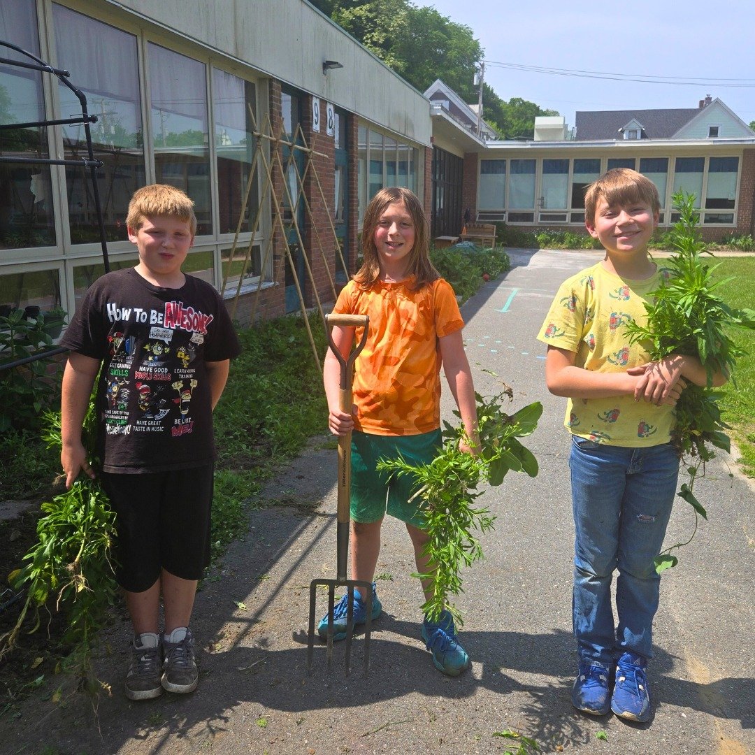 We&rsquo;ve got great news to share from Central Elementary School! 

The Windham County Community Advisory Board of Blue Cross and Blue Shield of Vermont has awarded a $750 grant to support the Summer Garden Program, giving students even more opport