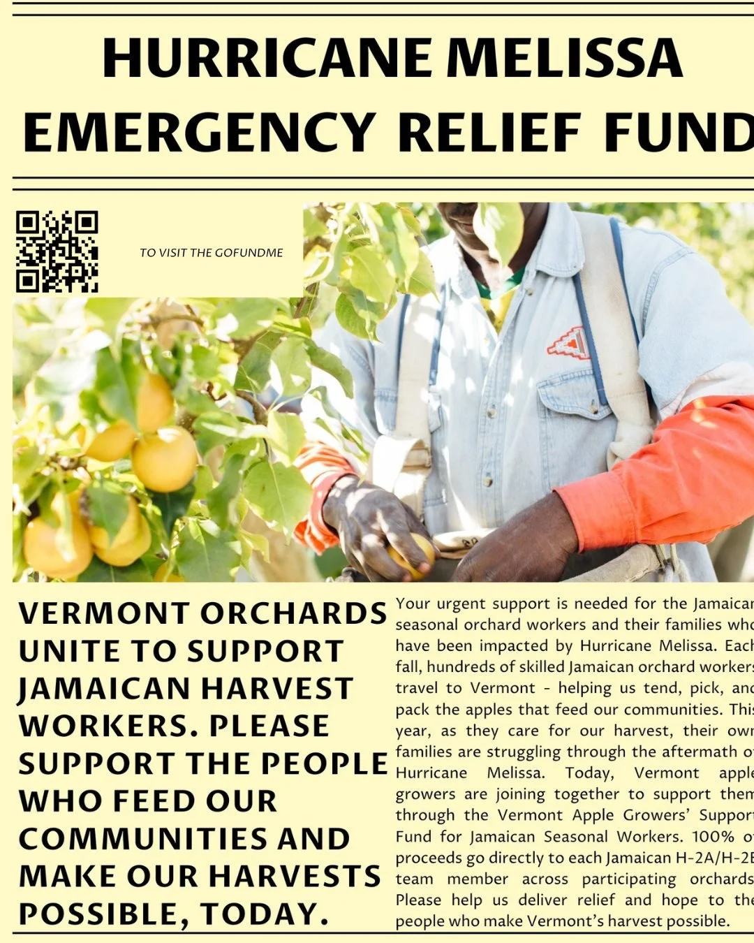 1 day left to donate! Jamaican harvest workers have helped orchards across VT for decades. With the devastation from Hurricaine Melissa, they need our help.

Consider donating through gofundme, organized by our friends at @champlainorchards, link in 
