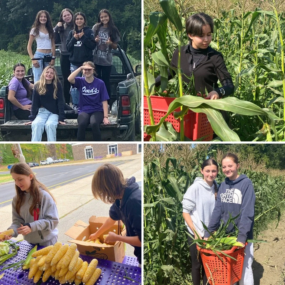 This September, students rolled up their sleeves and got a true taste of farm life at @petesstand (Walpole, NH)! They picked sweet corn, which was brought back to the school cafeteria to be prepped and served as part of the school lunch. Another clas