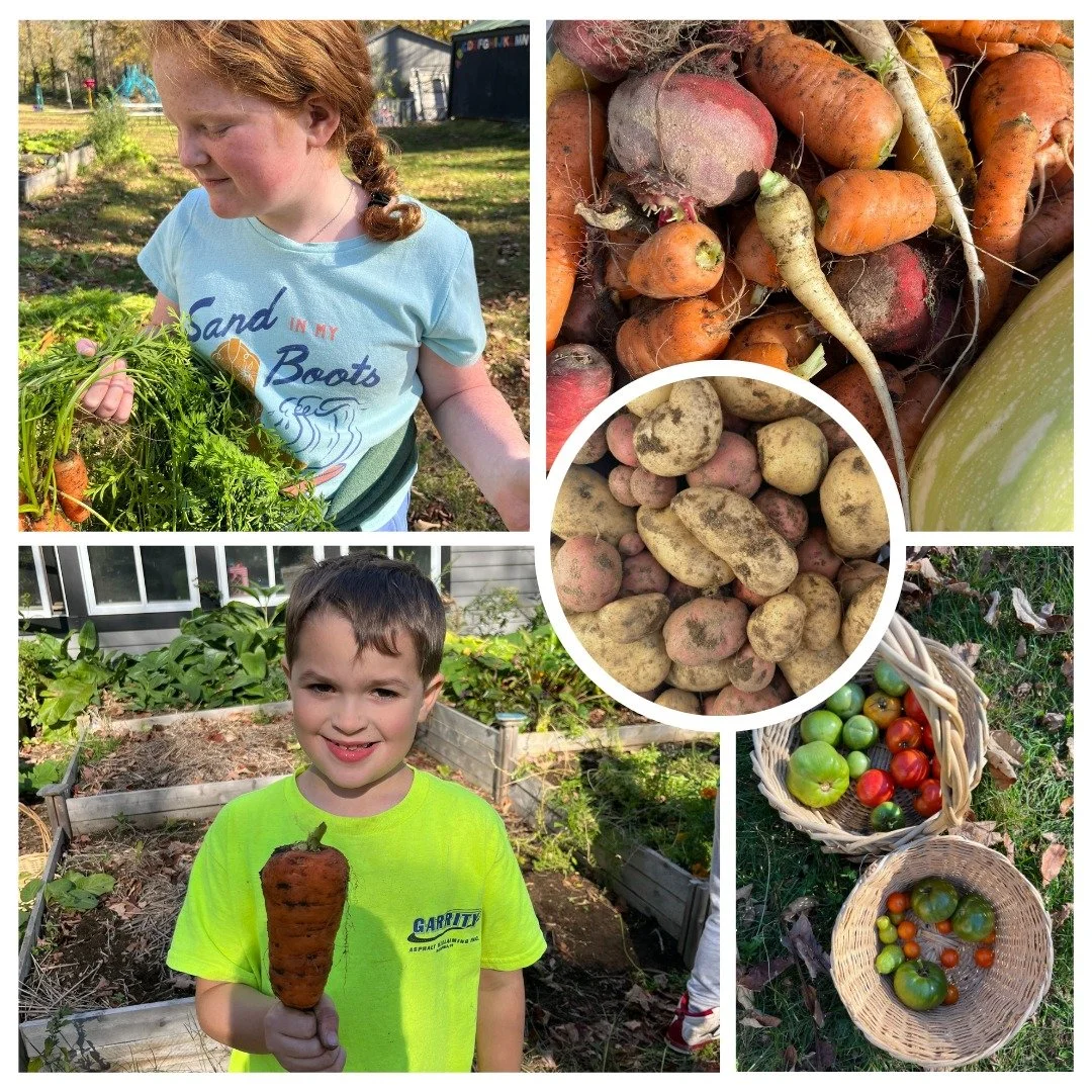 Nothing beats garden harvest day! 

Grafton Elementary students pulled up an impressive haul this year that included potatoes, beets, carrots, and garlic. These crops will be stored and saved to enjoy at their school&rsquo;s upcoming Thanksgiving fea