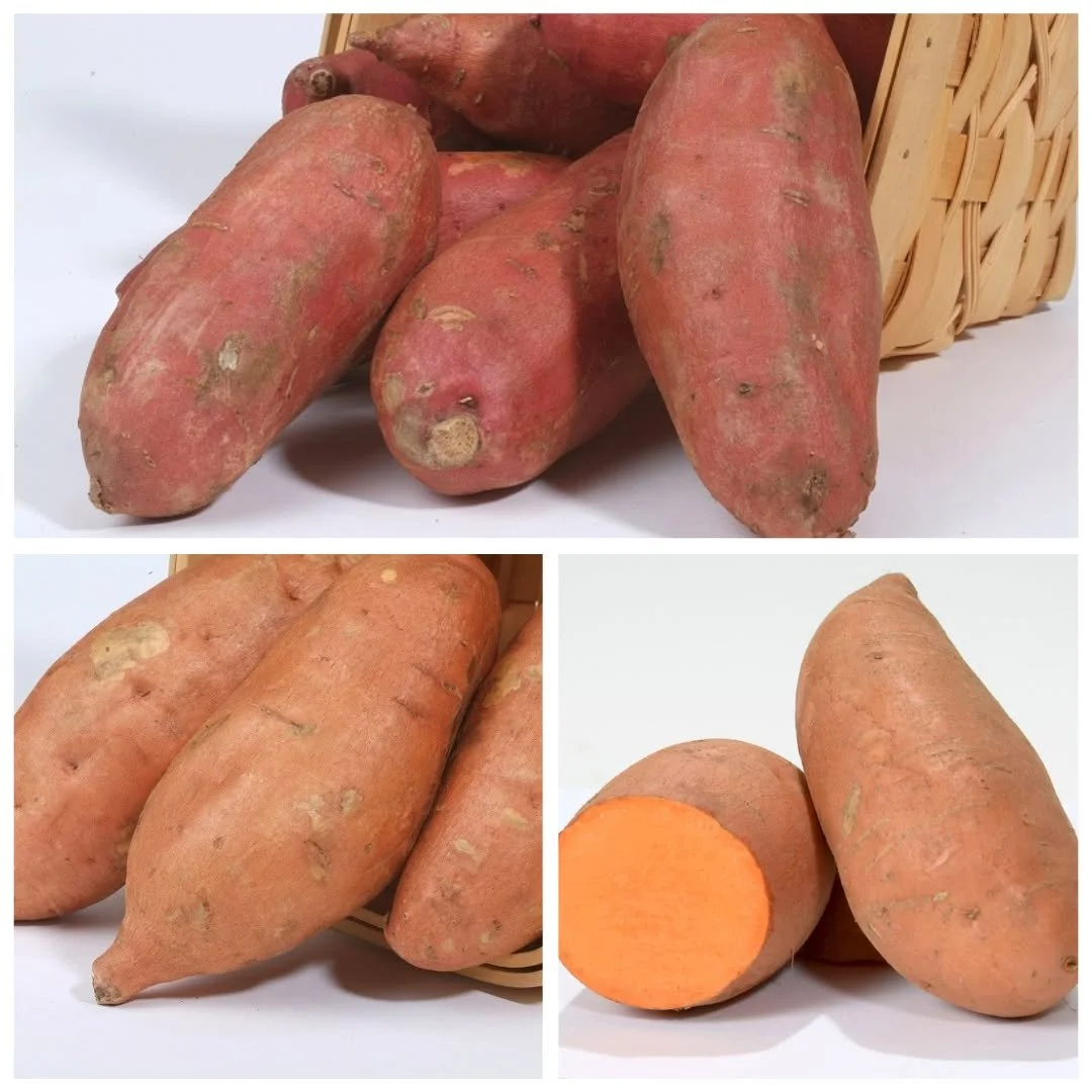 We&rsquo;re celebrating December&rsquo;s @vtharvestofthemonth crop sweet potatoes with beautiful organic varieties from the folks at Basin Farm (Bellows Falls, VT). There&rsquo;s a sweet potato out there for everyone thanks to these four varieties: 
