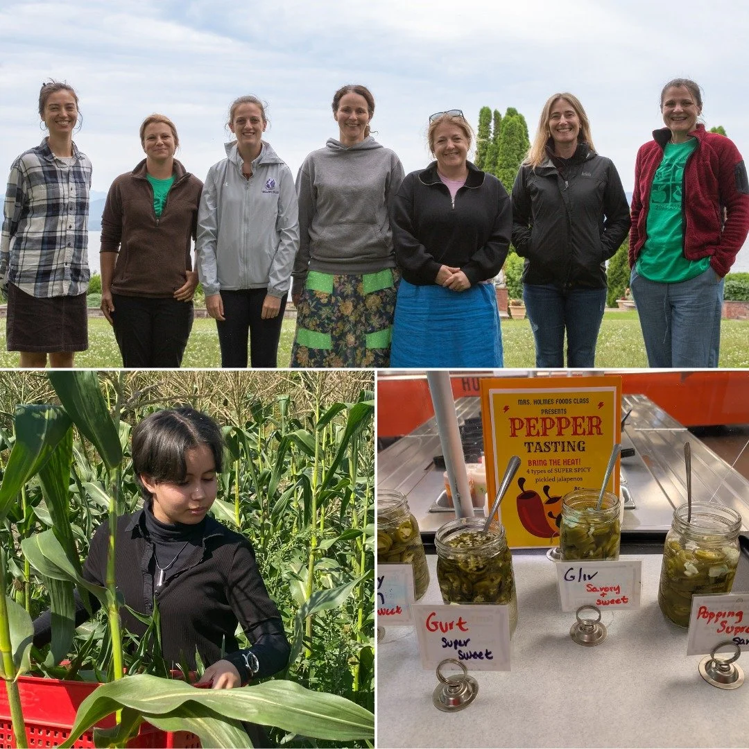It's time for some Terrier pride!

Bellows Falls Union High School is celebrating mid-year successes as a Northeast Farm to School Institute school.

The Institute is a unique year-long professional learning opportunity for selected school, district,