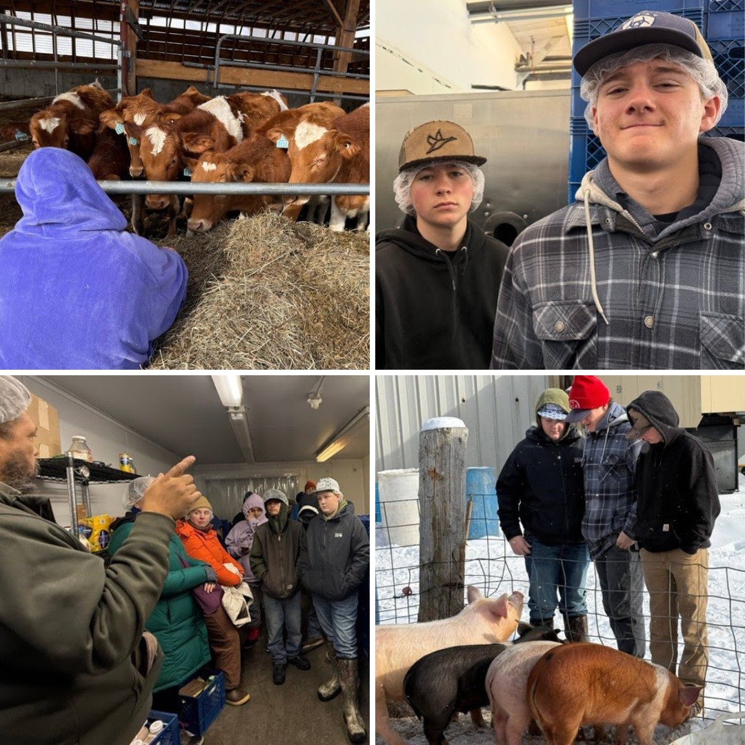 Learning that goes beyond the classroom! 

Last month, Bellows Falls Union High School students curious about STEM in agriculture went behind-the-scenes at Rock Bottom Farm and @strafford_creamery in Strafford, VT. They explored how dairy products ar