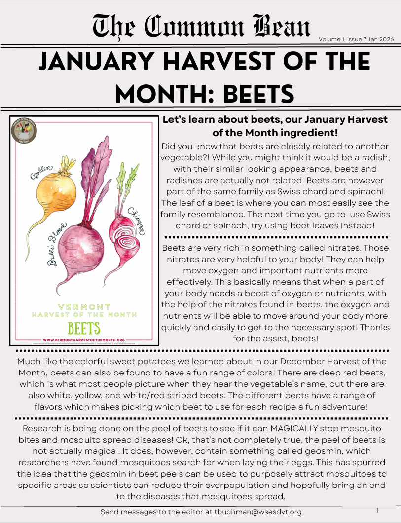 Screenshot 2026-03-06 125226.png