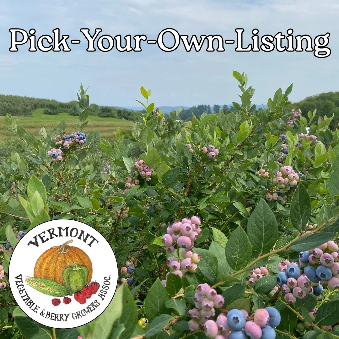 Get more PYO customers with one listing!

Last year, 700+ visitors searched for farms on the Vermont Vegetable &amp; Berry Growers Association (VVBGA) pick your own site. Now's the time to create or update your listing. 

It&rsquo;s quick and easy:
&
