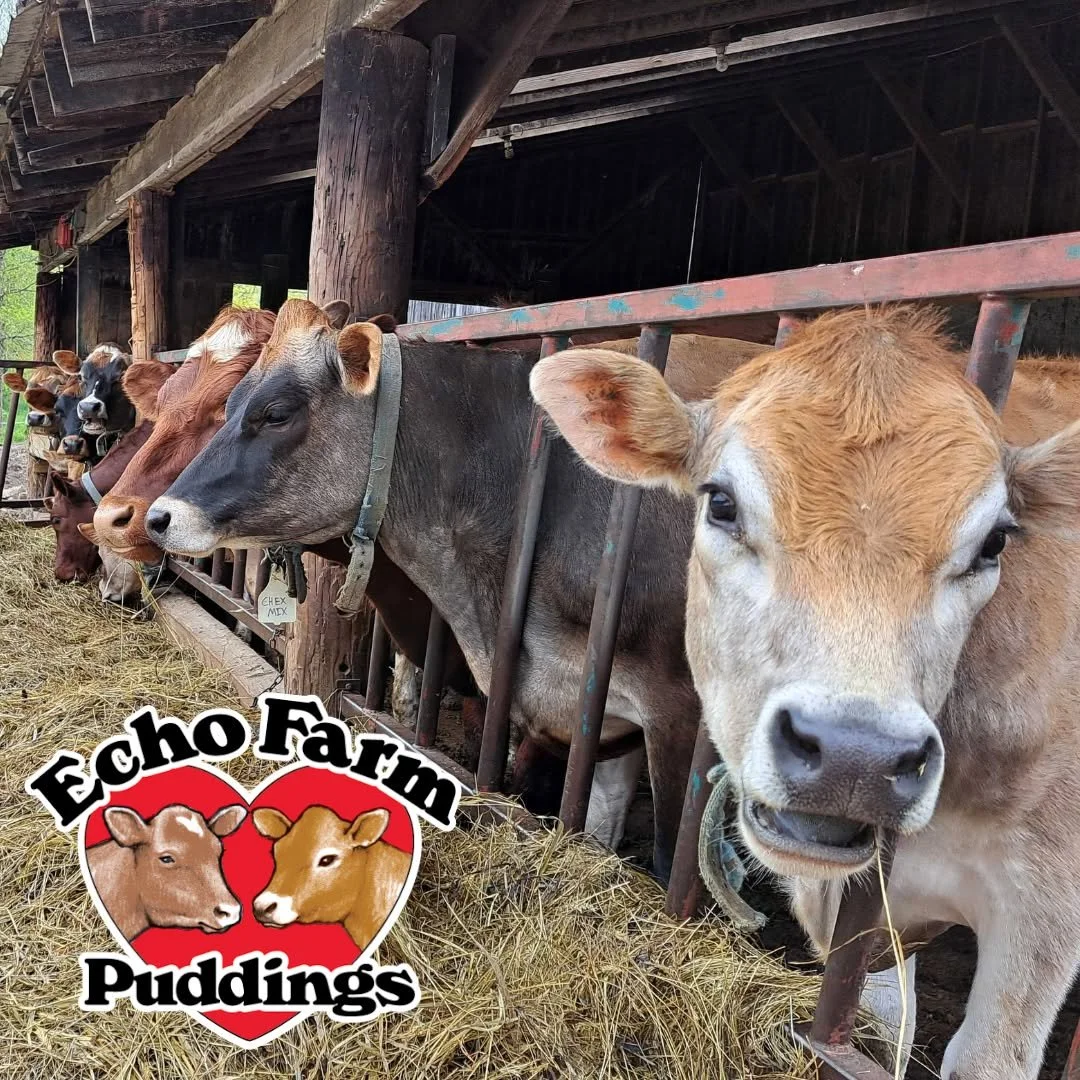 The proof is in the pudding!

@echofarmpuddings (Hinsdale, NH) began as a 4-H project by sisters Beth and Courtney Hodge, and has grown into a small-batch pudding business rooted right on their family farm. Each cup is crafted where the milk is produ