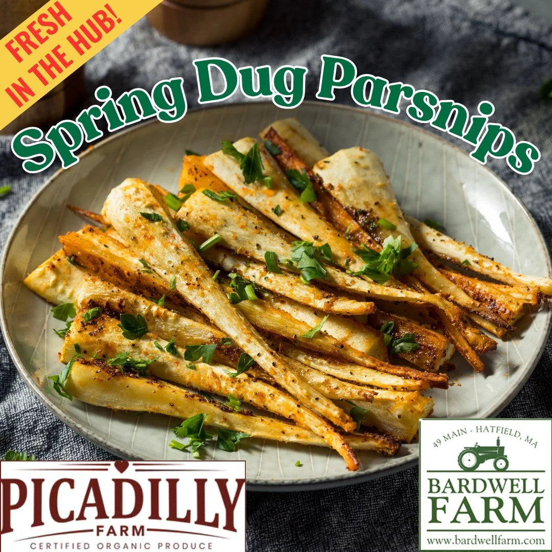 Spring-dug parsnips are here!

Left in the ground over winter, these parsnips come up sweeter and more tender than fall-dug roots, an early spring delicacy with a limited availability window.

Great for seasonal menus: roasted sides, purees, soups, a